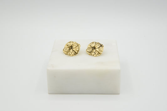 Boucles d'oreilles Florea